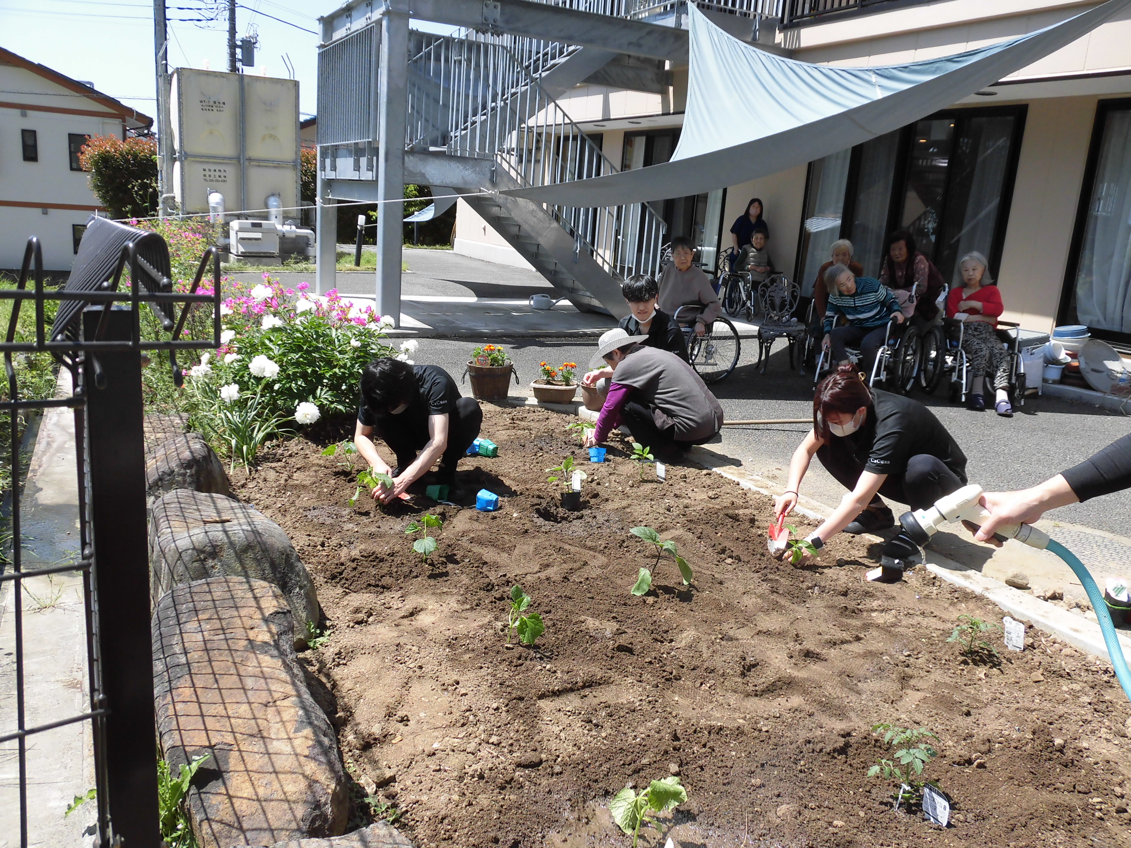 利用者様と苗植え